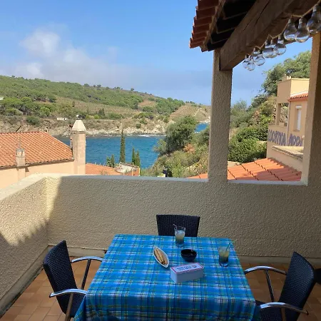 T3 Pieds Dans L'Eau Clim Wifi Terrasse Vue Mer Banyuls-sur-Mer Esterno foto